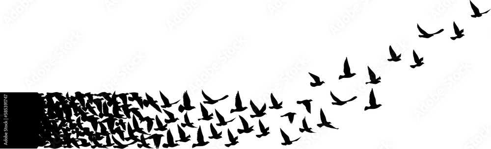 Flying birds silhouettes pattern wallpaper. PNG transparent. isolated bird flying. tattoo design. template for card, package, and wallpaper. Flying birds silhouettes pattern wallpaper. PNG transparent. isolated bird flying. tattoo design. template for card, package, and wallpaper.