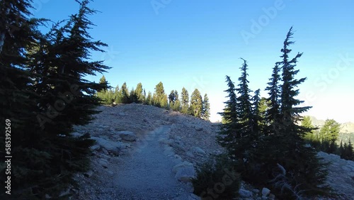 Hiking Along Flat Trail to Bumpass Hell in Lassen Volcanic National Park photo