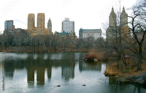 A portion of the New York City skyline as seen from Central Park