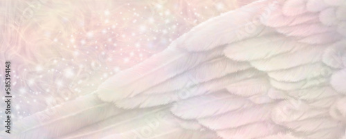 Schilderij op canvas Warm Pastel Angel Wing Message  Banner -  large detailed angel wing across a wid