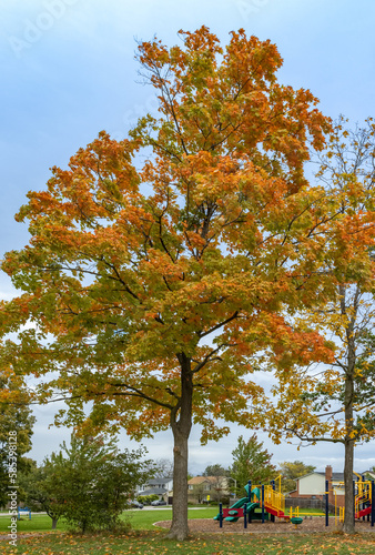 Burlington parks during autumn, Ontario, Canada