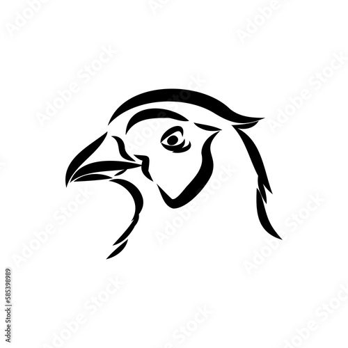 Hand drawn of an pheasant, sketch. Vector illustration isolated on a white background.