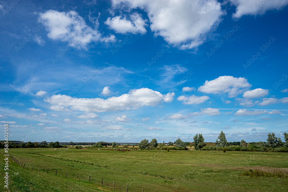 Obraz premium landscape with clouds