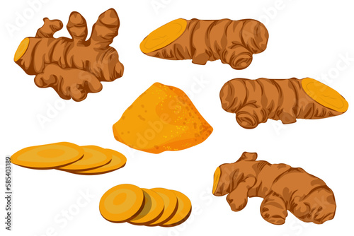 vector of turmerics,slice and turmeric powder in flat style isolated in white background.