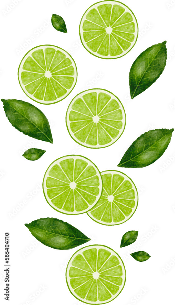 lime slice watercolor