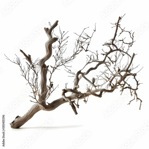 Dry Dead Branch. Generative AI