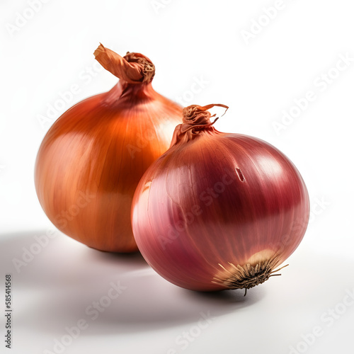 Oignons isolé sur fond blanc / Onions isolated on white background