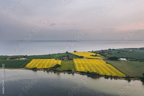 Obraz na płótnie Scenic nature landscape: aerial view of the rape (rapeseed) field on the inhabited island surrounded by sea. Kegnæs, Sydals, Denmark w salonie