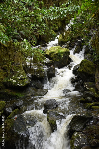 Raging torrent running down from the mountain