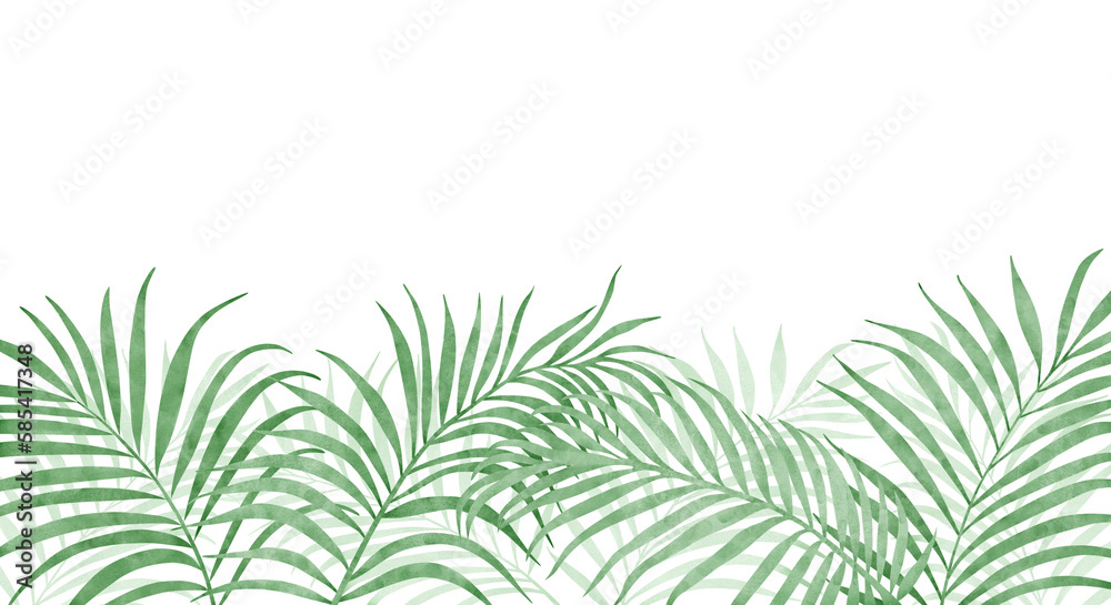 Palm leaves isolated on white background. Watercolor illustration