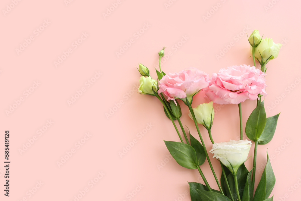 Top view image of delicate pink flowers over pastel background Top view image of delicate pink flowers over pastel background
