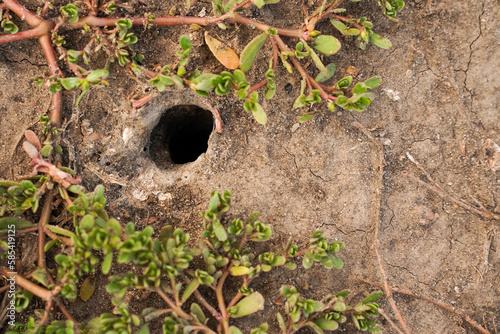 A mysterious hole in the ground
