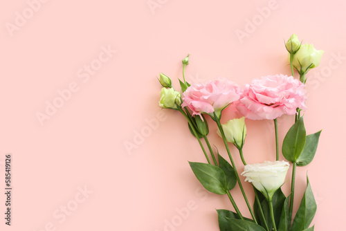 Top view image of delicate pink flowers over pastel background