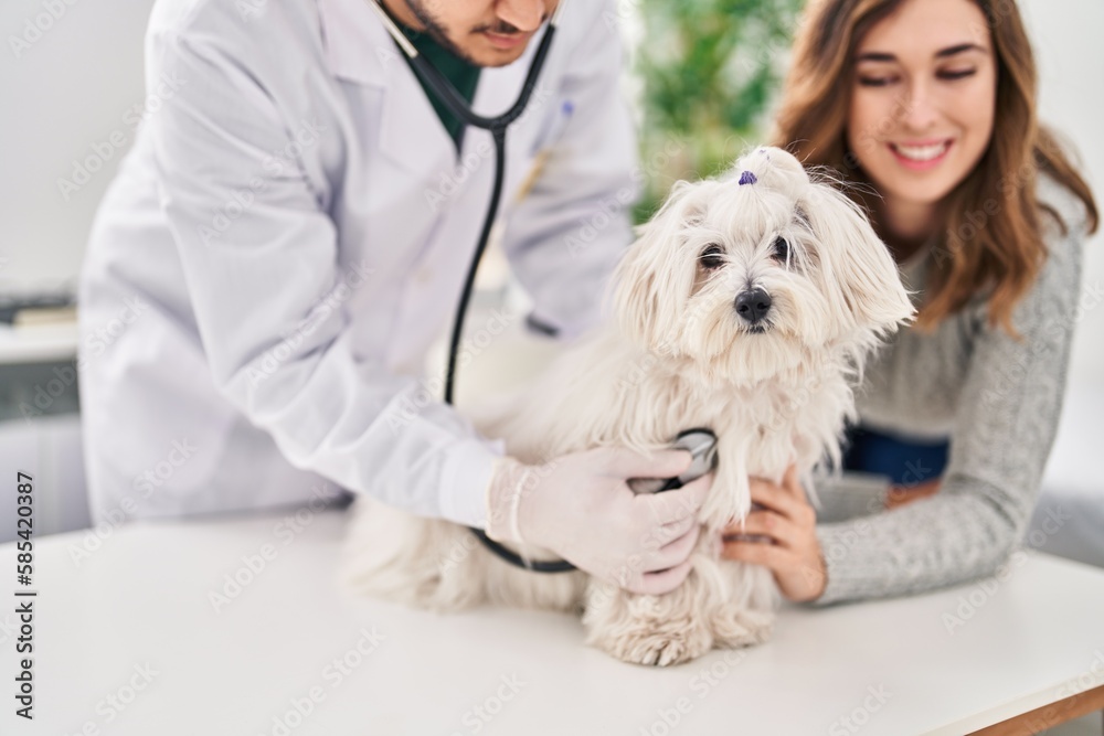 Man and woman veterinarian auscultating dog at veterinary clinic Man and woman veterinarian auscultating dog at veterinary clinic