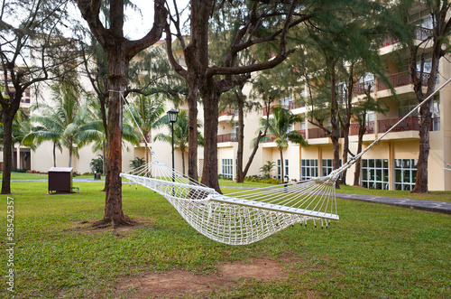 Fototapeta Naklejka Na Ścianę i Meble -  A hammock hanging from a tree.
