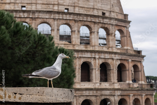 Wall Mural Colosseum in Rome, Italy