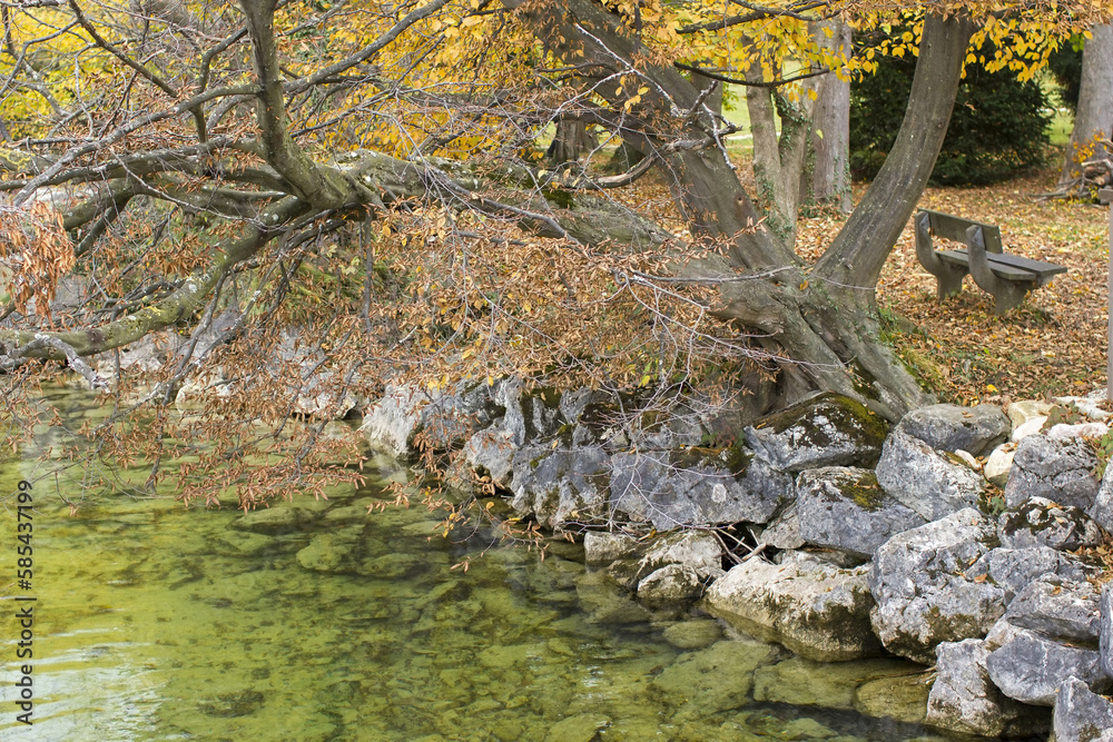 autumn view of lake and trees in Toscana Park, Gmunden