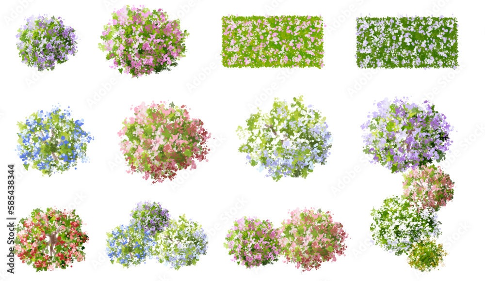 Vector watercolor of blooming tree top view isolated on white background for landscape plan and architecture drawing, elements for environment and garden,botanical elements ,blooming flowers in spring