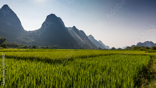 Amazing landscape of rice fields and limestone peaks near Yalong River, Yangshuo, China