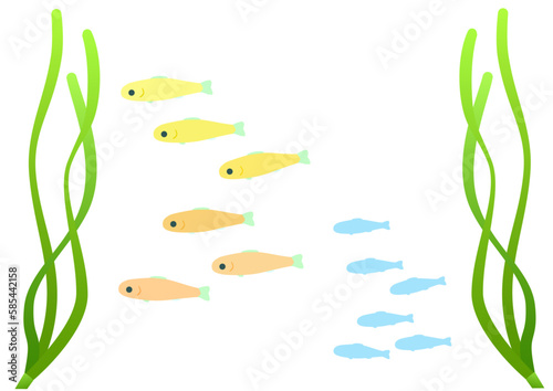 A school of young fish in an eelgrass bed. Set of cartoon-style illustrations of colorful young fish and silhouettes.