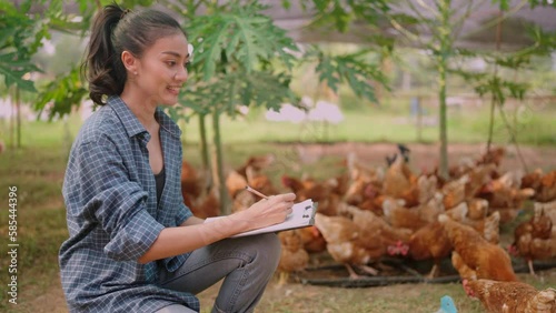 young Asian woman farmer working to check a hen and chicken egg in animals farm, female smart farmer collect research data in outdoor organic food product industrial farm, small agriculture business