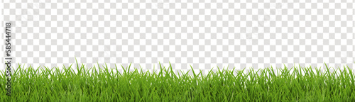 green grass background