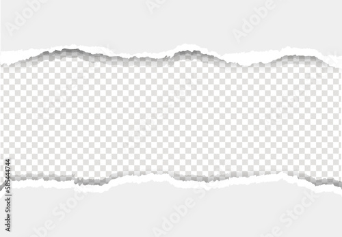 torn paper background
