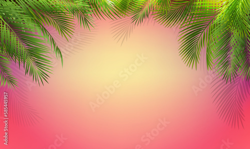 Palm Tree Branch Border And Pink Background
