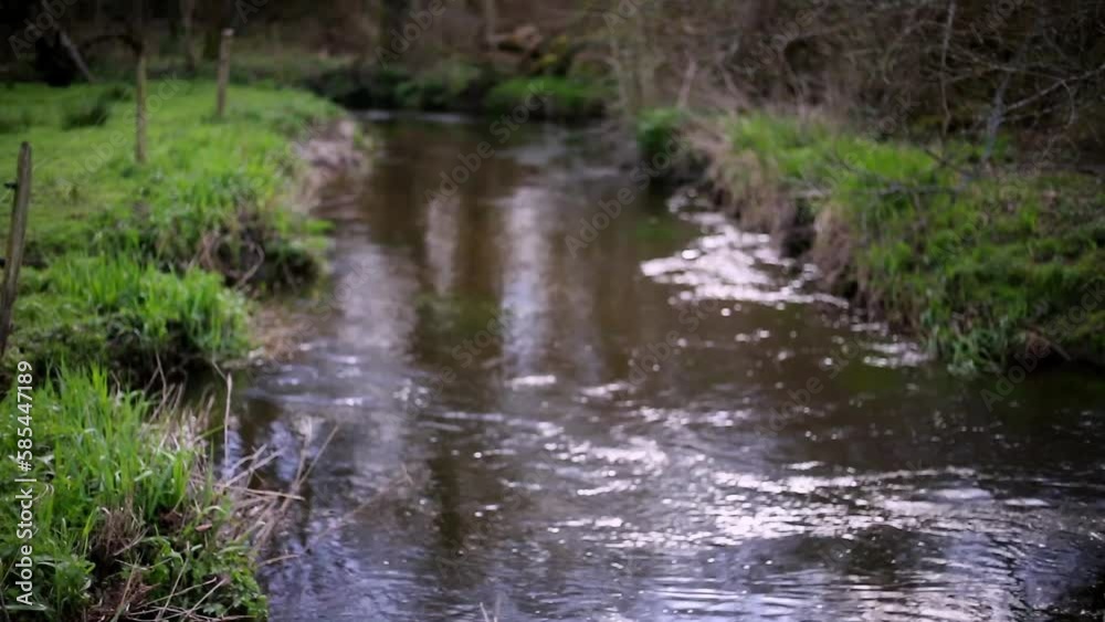 Petit ruisseau au printemps qui coule Petit ruisseau au printemps qui coule