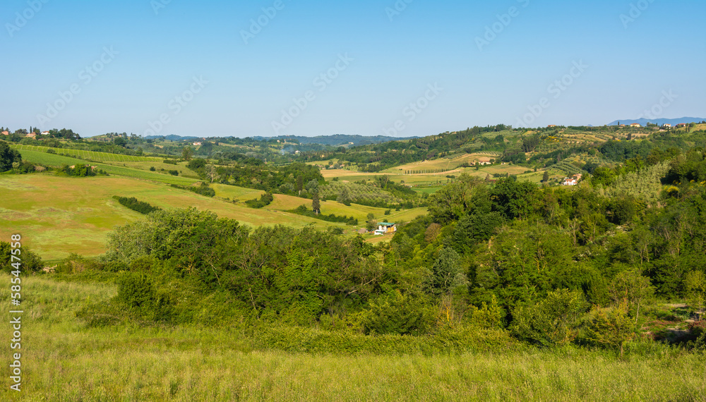 Tuscany landscape near San Miniato village - Tuscany, central Italy, Europe