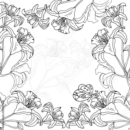 Pattern with lily flower and butterfly on an isolated background
