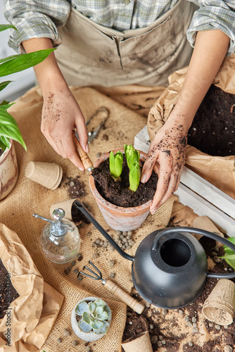 Cropped shot of unrecognizable woman wears apron works in home garden enjoys plant care hobby takes care of homeplants has hands dirty with soil involved in spring gardening. Floriculture concept