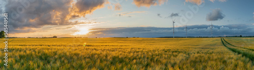 The expanse of lush yellow fields stretching as far as the eye can see is a breathtaking sight. The gentle rustle of crops swaying in the warm breeze. photo
