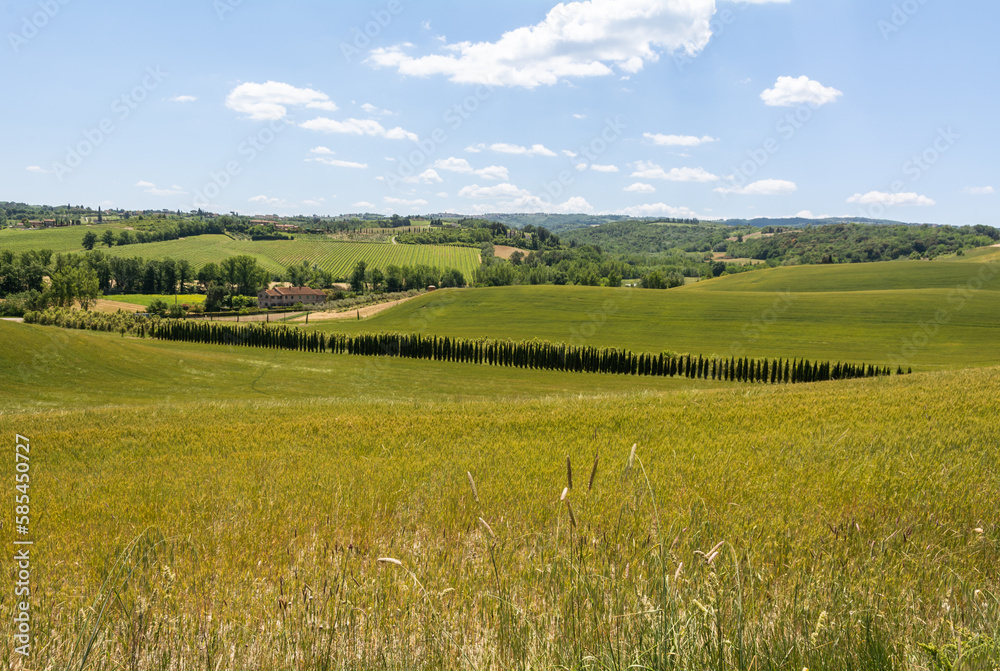 Tuscany spring landscape along the historic route Francigena between San Miniato and Gambassi Terme, Tuscany, central Italy - Europe