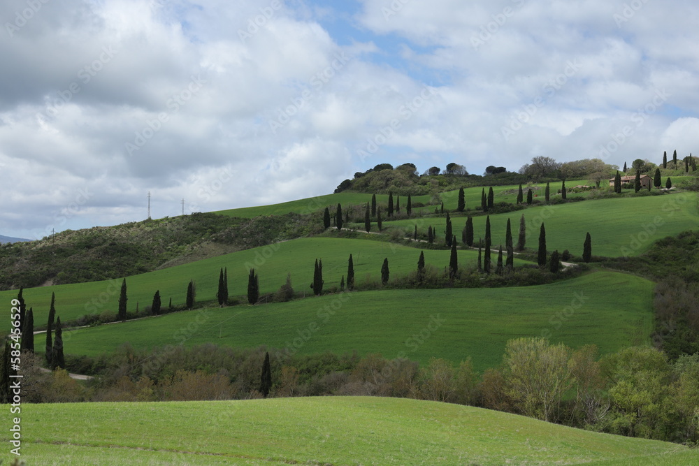 TUSCANY, VAL D'ORCIA, LA FOCE, SIENA