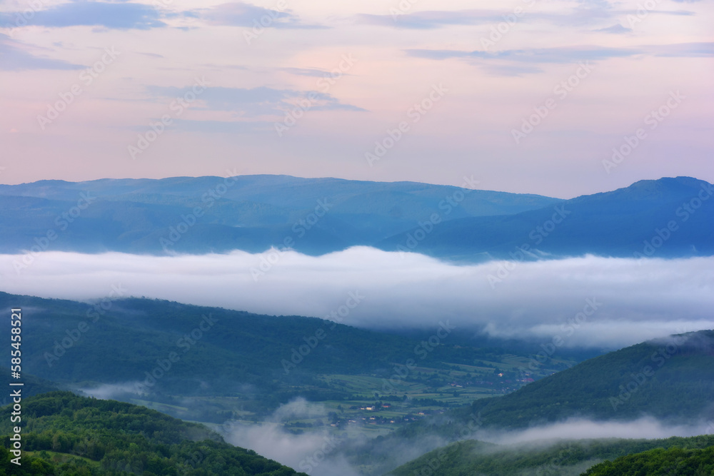 mountain valley in morning mist view from above. ukrainian carpathian countryside