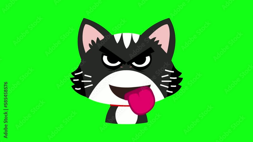 Animated funny cat facial expressions, cat sticker, on green screen background. Animated funny cat facial expressions, cat sticker, on green screen background.