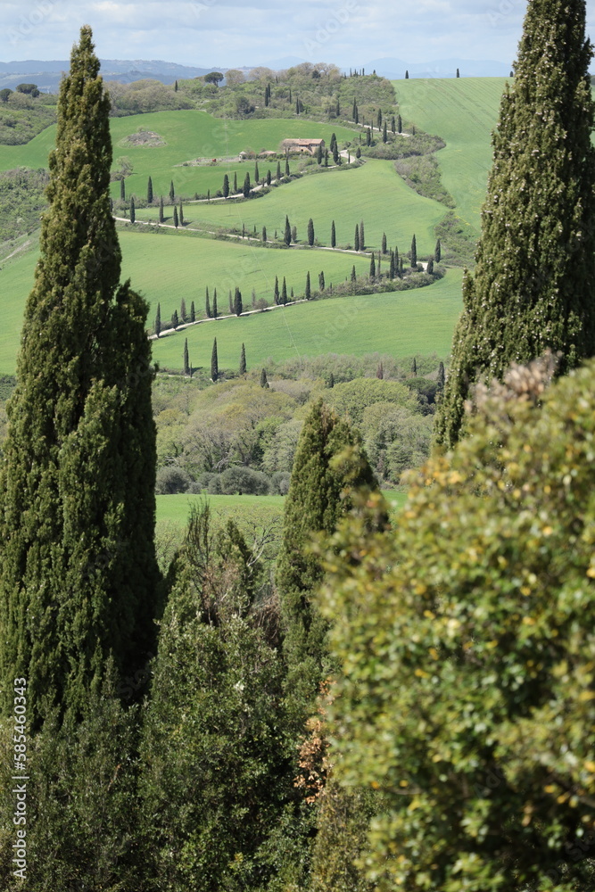TUSCANY, VAL D'ORCIA, LA FOCE, SIENA