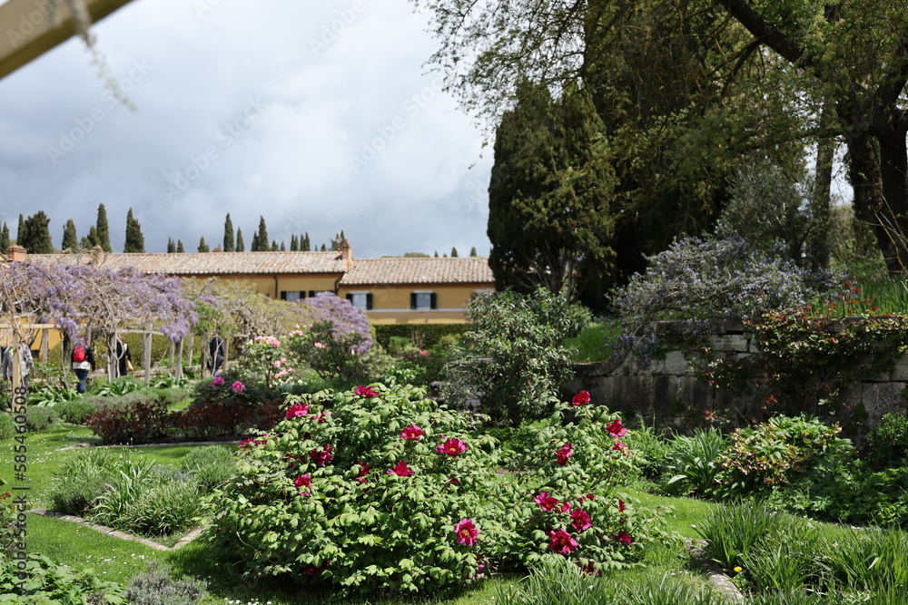 garden in the city