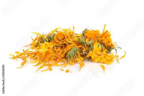 Calendula flowewr tea photo