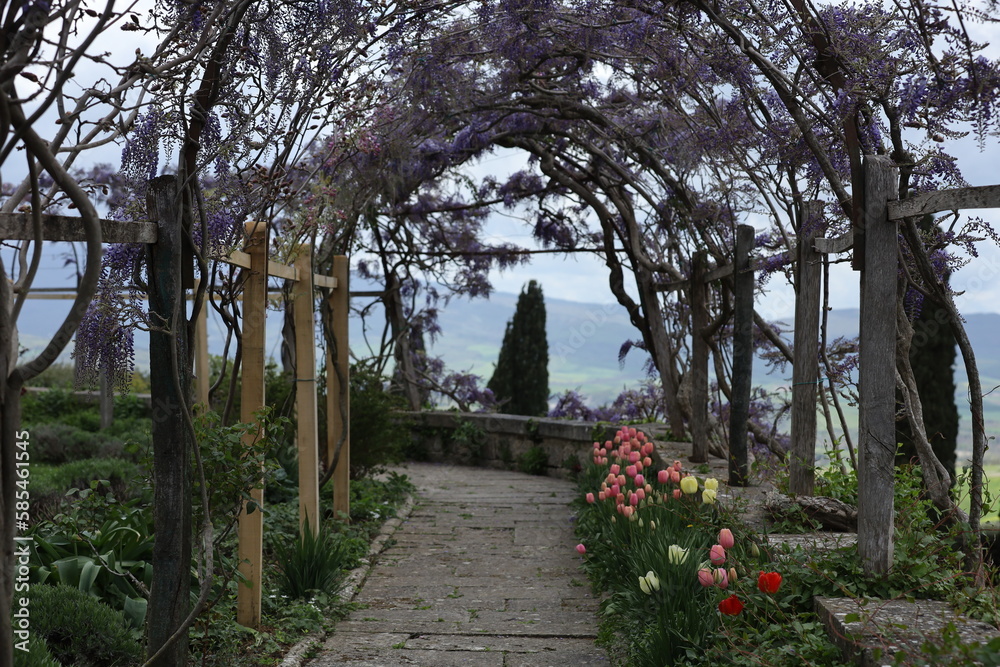 TUSCANY, VAL D'ORCIA, LA FOCE, SIENA