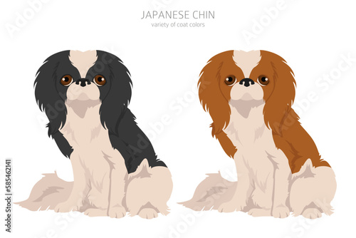 Japanese chin clipart. Different poses, coat colors set