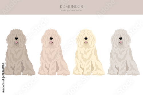 Komondor clipart. Different poses, coat colors set
