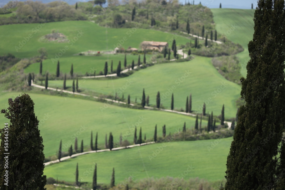 TUSCANY, VAL D'ORCIA, LA FOCE, SIENA