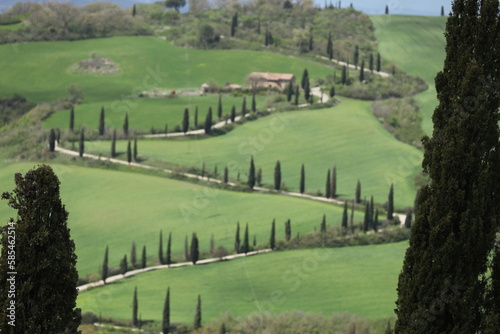 Obraz na płótnie TUSCANY, VAL D'ORCIA, LA FOCE, SIENA w salonie