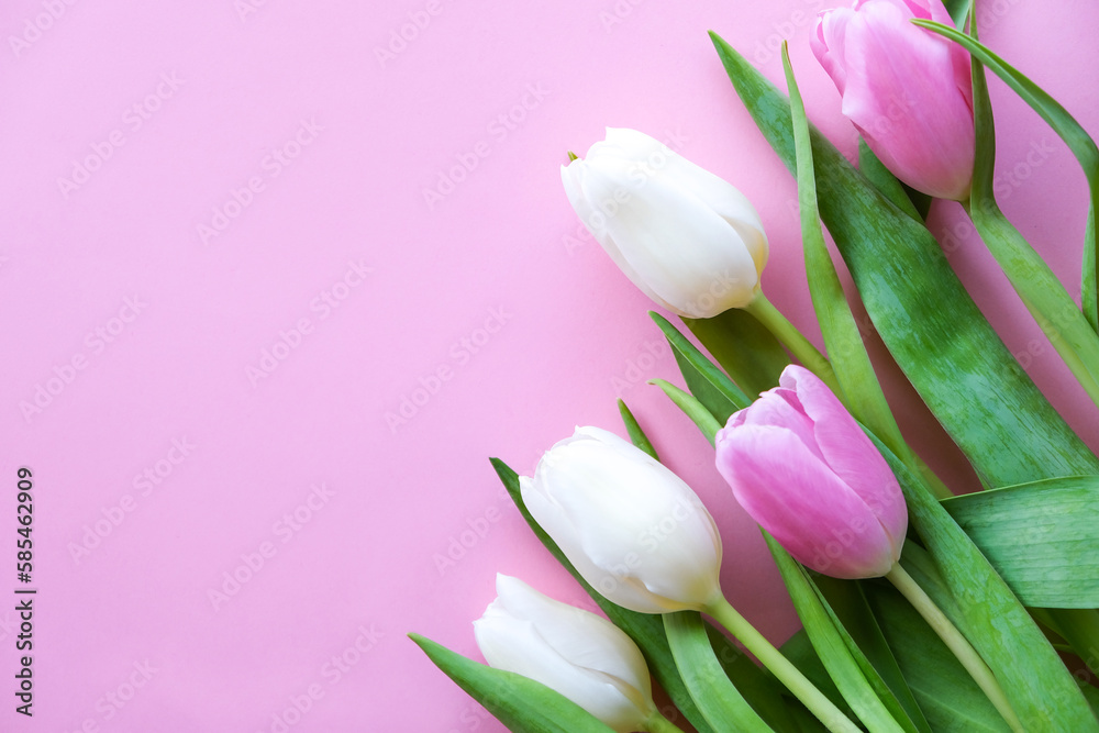 Delicate natural tulips on a pink background. Flat lay, top view, copy space.