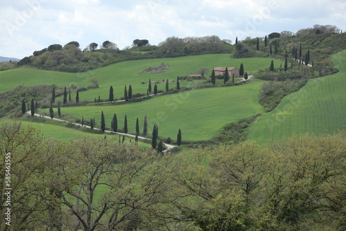 Obraz na płótnie TUSCANY, VAL D'ORCIA, LA FOCE, SIENA w salonie