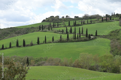 Obraz na płótnie TUSCANY VAL D'ORCIA w salonie