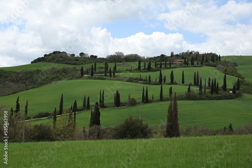 Obraz na płótnie TUSCANY LA FOCE VAL D'ORCIA w salonie