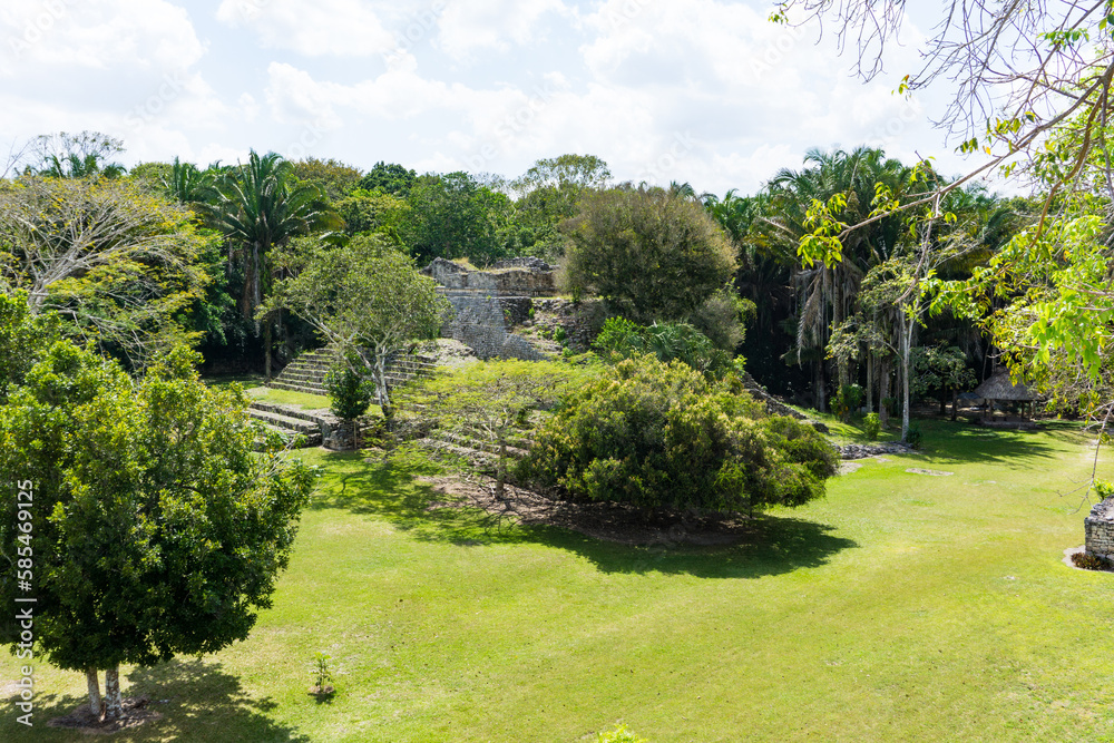 Kalakmul, Maya Archeological site. 